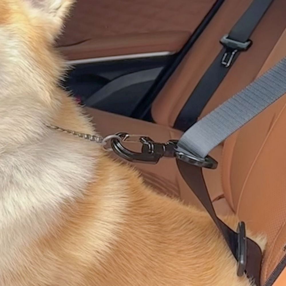Anti-interference Pet Safety B - Swing Seat Belt ulasan dan harga