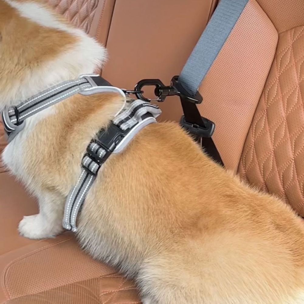 Anti-interference Pet Safety B - Swing Seat Belt ulasan dan harga