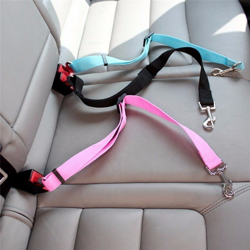 Cat Car Seat Belt Dog Accessor - Swing Seat Belt ulasan dan harga