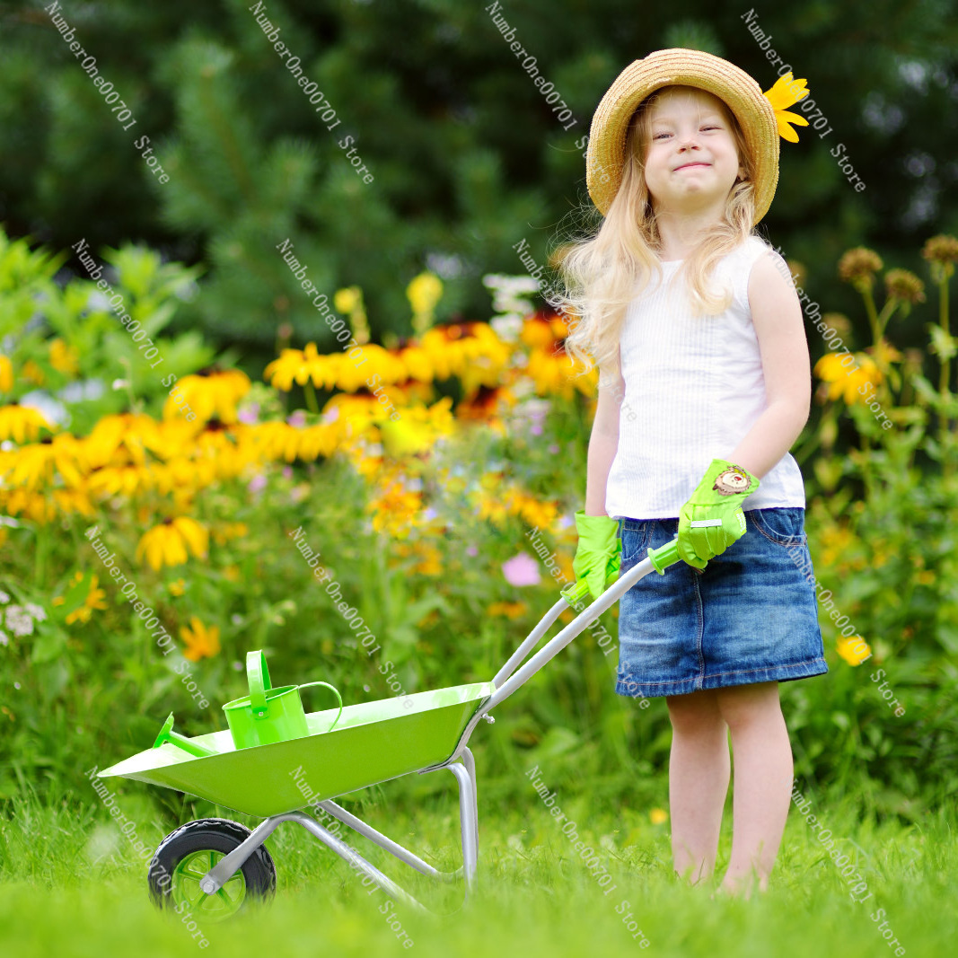 Kids Outdoor Wheelbarrow, Gree - Play Kids Outdoor ulasan dan harga